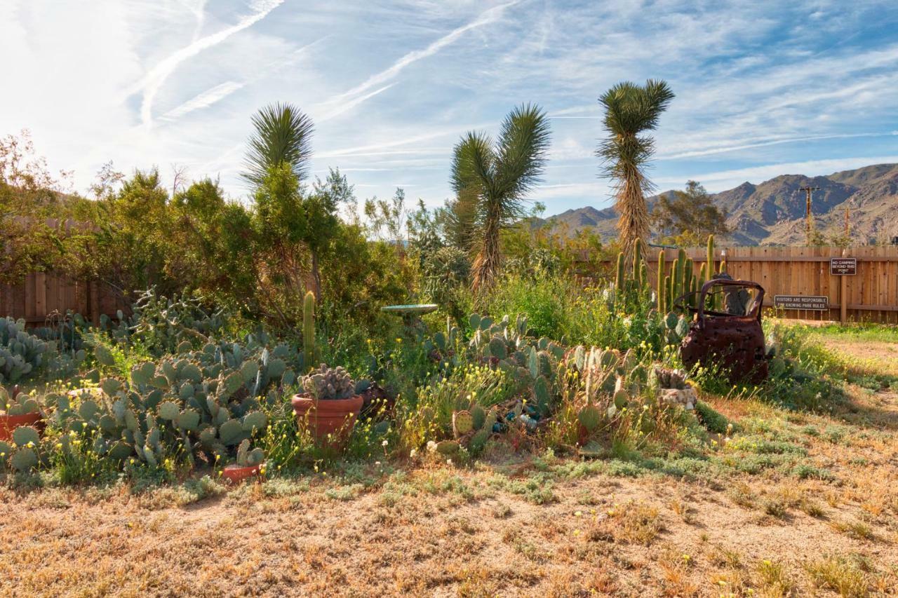 Villa Cactus Adobe à Twentynine Palms Extérieur photo